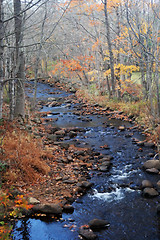 Image showing River scenic