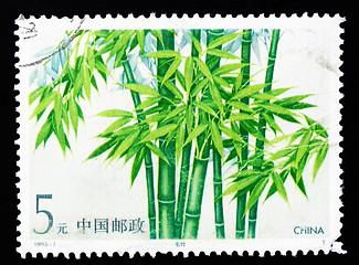 Image showing CHINA - CIRCA 1993: A Stamp printed in China shows Mao Bamboo, circa 1993