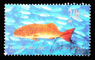 Image showing CHINA - CIRCA 1998: A Stamp printed in China shows coral reef fish , circa 1998