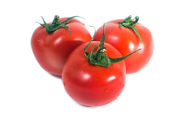 Image showing Fresh tomato