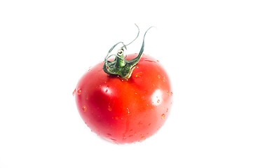 Image showing Fresh tomato