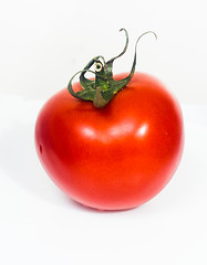 Image showing Fresh tomato