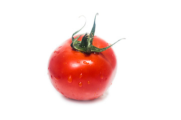 Image showing Fresh tomato