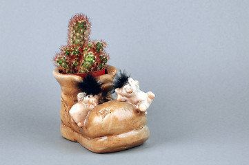 Image showing Cactus in shoe pot