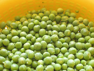 Image showing Green peas