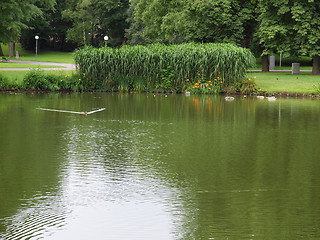 Image showing Gardens in Stuttgart, Germany