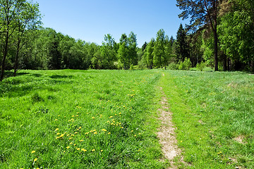 Image showing Summer landscape