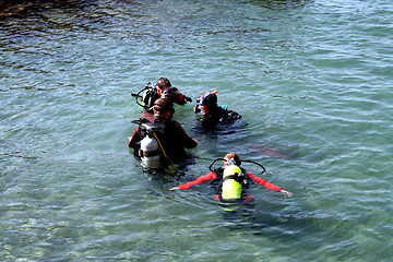 Image showing Divers