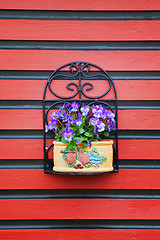 Image showing Flowers on red wall