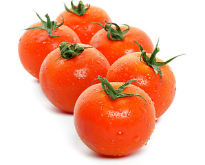 Image showing Arrangement of Fresh Tomatoes