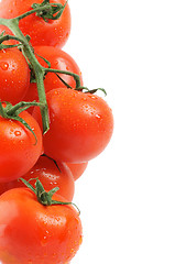 Image showing Frame of Tomatoes on twigs