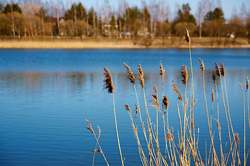 Image showing Spring landscape