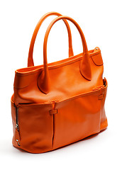 Image showing Women's Ginger Handbag