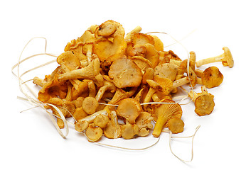 Image showing Heap of Fresh Raw Chanterelle Mushrooms