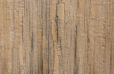 Image showing wood texture