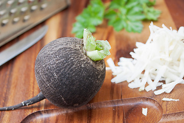 Image showing Black radish rub on a small grater