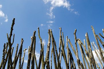 Image showing Fence made of tree branches on blue cloudy sky 