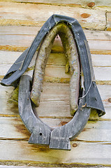 Image showing Horse harness hang on old homestead log house wall 