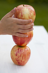 Image showing Red apples