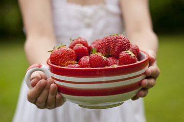 Image showing Fresh strawberries