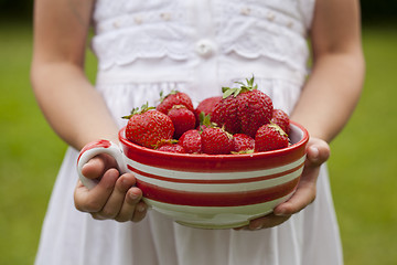 Image showing Fresh strawberries