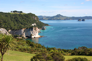 Image showing Coromandel