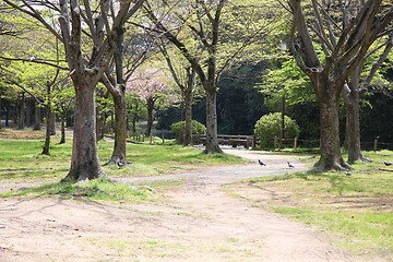 Image showing Himeji park