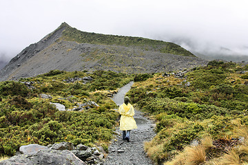 Image showing Mount Cook National Park