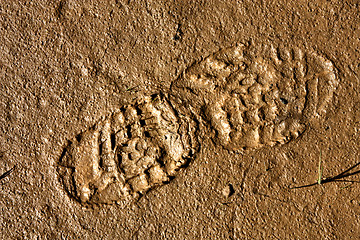 Image showing Shoe print