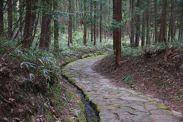 Image showing Nakasendo, Japan