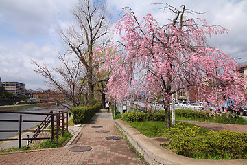 Image showing Kyoto