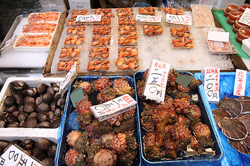 Image showing Seafood market in Japan