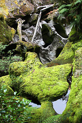 Image showing Mossy stones