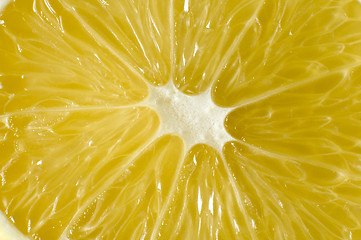 Image showing lemon