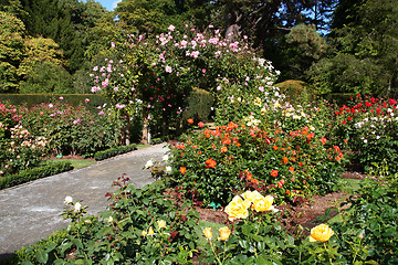 Image showing Botanic garden