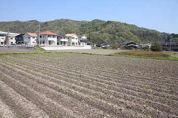 Image showing Agriculture in Japan
