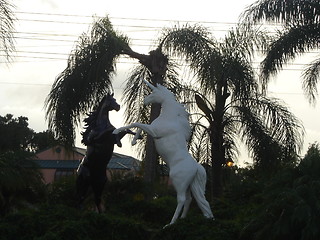 Image showing Arabian Horses