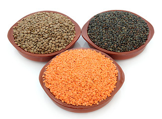 Image showing Lentil Varieties