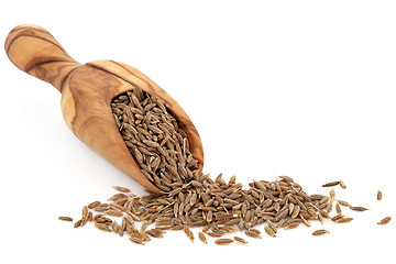 Image showing Caraway Seed