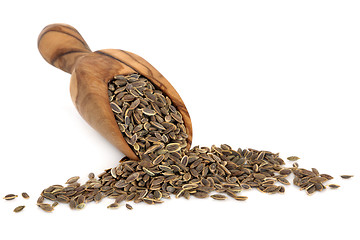 Image showing Dill Seed