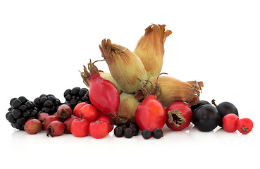 Image showing Wild Autumn Fruit 