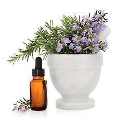 Image showing Rosemary Herb Essence