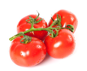 Image showing Bunch of fresh tomatoes with water drops