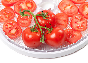 Image showing Fresh tomato on food dehydrator tray