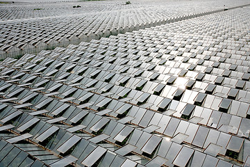 Image showing Greenhouses