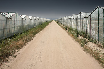 Image showing Greenhouses