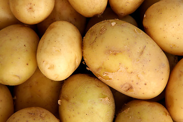 Image showing Potatos