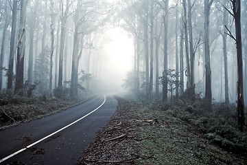 Image showing Misty drive forrest