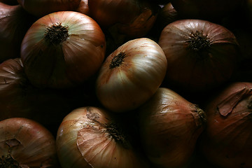 Image showing Onion