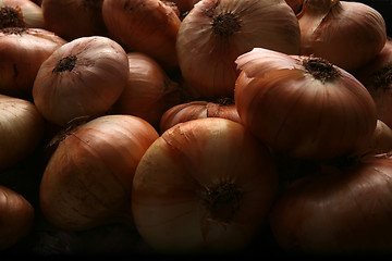 Image showing Onion